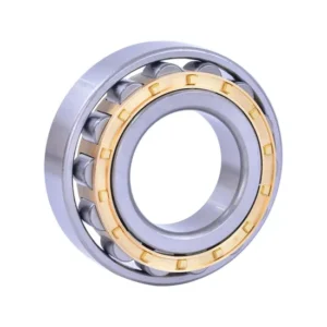 NSK NF211em NF212em NF213em Cylindrical Roller Bearing High Quality